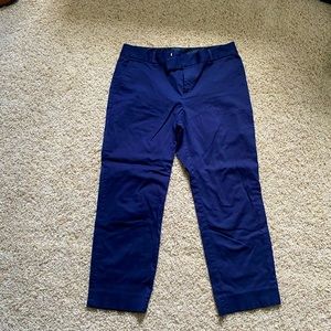 Banana Republic Navy Crop Pants (10)